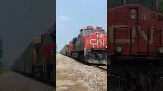 CN Q116 with a Beautiful K5HL Horn! Dash-9. Going to Wyandotte on Sunday! #trains