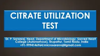 Citrate Utilization Test