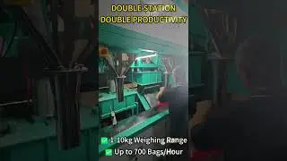 700 Bags/Hour! Double Station Vacuum Packing Machine | PZB-700-F5/S ⚡️
