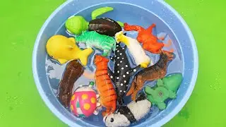 Lots of Zoo Wild Animals For Children With Real Safari Animal Videos Part 25