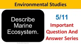 Environmental Studies Q&A Series 5/11 | Describe Marine Ecosystem | BCA | BBA