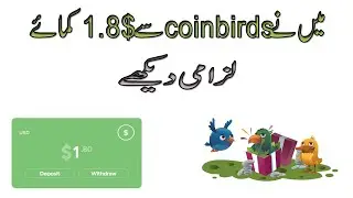 I Get 1.80$ From Coin Birds || Payout Skill