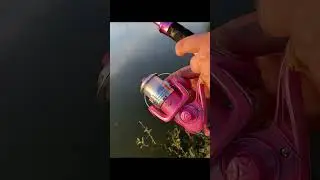 The Pink fishing rod of every fishing girl's dream. 🔥🔥Rock the waters with Plusinno!