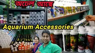 অ্যাকোরিয়াম অ্যাকসেসারিস wholesaller | Aquarium Fish Accessories | Cheapest Aquarium Accessories