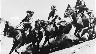 Light Horse patrol Request #horse 