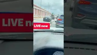 Funny animal #funnyshorts #shorts #animals #funny #viralshorts #traffic #animal