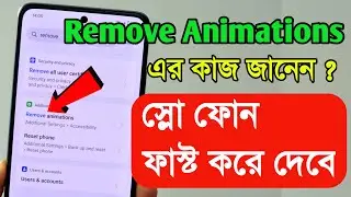 Remove Animation ( Accessibility Settings )