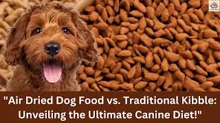 Air Dried Dog Food vs. Traditional Kibble: Unveiling the Ultimate Canine Diet!