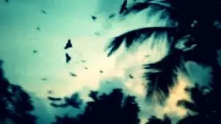 Birds Acting Strange