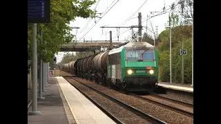 De la belle couleur et de la diversité en tout genre dans le sud !