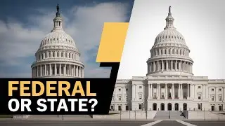 What Is The Difference Between A Federal And State Credit Union?
