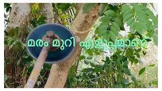 മരം മുറി എളുപ്പമായി #Round saw blade with #brush  #Tree cutting #farming #chainsaw #brushcutter 