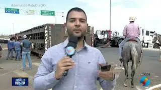 Caminhão com cabeças de gado tomba próximo ao aeroporto de Goiânia