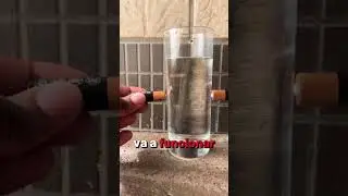 Haz un Tornado de Agua en un Vaso 🤯