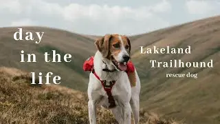 A Day in the Life of Oslo: Hiking Cautley Spout [AD] // Ramble Family Ep. 13