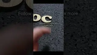 The 