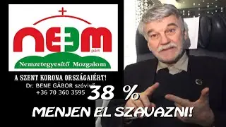 Alapigazs&aacute;g - Utaz&aacute;s a k&ouml;zjog ter&uuml;let&eacute;n -  Dr. Bene G&aacute;bor 2025