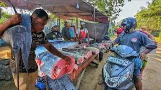Amazing.! Behind the Scenes of Fishmonger Families | Daily Life & Unseen Hard Work