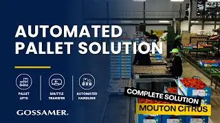 Mouton Citrus End-of-Line Packaging Solution (Citrusdal, Western Cape)