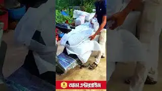 Goeen Chalo 1000v2 smart electric scooter for new generation young people.#ebike #eletricscooter
