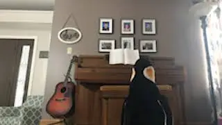 Penguin Adventure