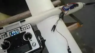 TARANIS E