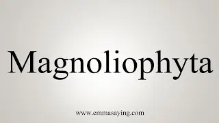 How To Say Magnoliophyta