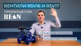 Вентили с сальниковым и сильфонным уплотнением, в чем отличие? | ОБЗОР REON