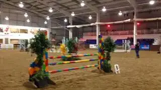 Pony of the Year show - Bury Farm
