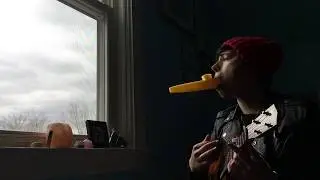Kazukulele Songs of Desperation, Part I