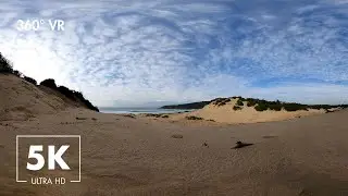 360&deg; VR Relaxing Nature Sounds Overlooking The Beach - Immersive Virtual Nature  - 5K Ultra HD
