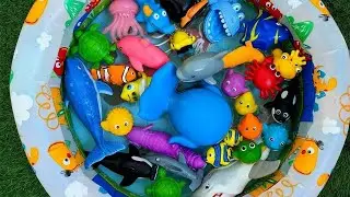 Learn Ocean Animals with Toys 🐳 | Names & Fun Facts for Preschoolers