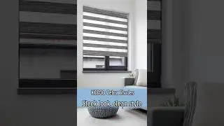 Shades in Motion &mdash; Keego Zebra Shades