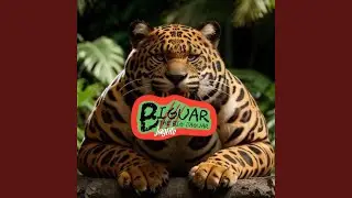 Welcome to the Zoo
