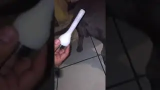 Everybody Can Do Artificial Insemination to Save Bill by themself at home