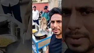 Bhai aap kya banaa rahe ho ?🐒🍲😲#shorts #viral #trending #monkey #cooking #vlog#funny