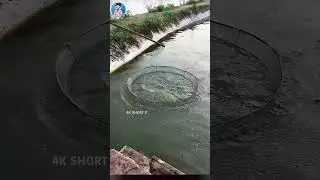 Soitan seleta jokhon best friend😂///Chinese funny Tik Tok #shorts #amazingfacts