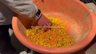 Mealworm