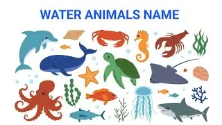 Sea Animals | Water Animals | Water Animals Name in Hindi and English | पानी में रहने वाले जीव No 02