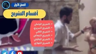أقسام التشريح - الفصل الأول