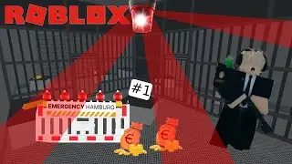 Als Crime die Stadt unsicher machen ( Roblox Notruf Hamburg)