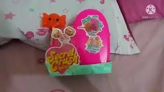 Secret Crush Minis Opening