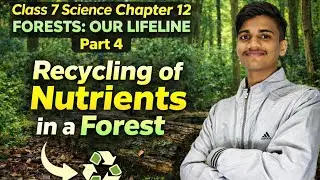 Class 7th science|Chapter-12| Forest:our lifeline|PART-4 @tnb_biology 
