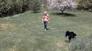 Rip Keller 