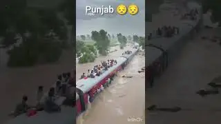 😔😔😔😔😔 pray for punjab #punjabnews #news #punjab #sad  #virelshorts #shortfeed #shorts