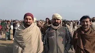 NEW BULL RACE multan 12/01/2024bit ka jalsa#bull #pakistanibullrace #sohnrapakistan #bullrrace #sub