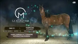 onix x tempestad de las guacas