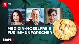 Nobelpreis f&uuml;r Medizin 2025: NANO ordnet ein