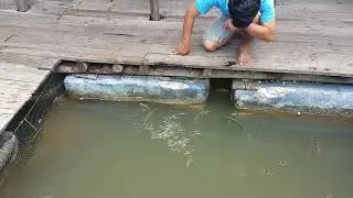 Cambodia 2017-20 fish with lasers 