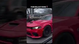 Hellcat asmr #hellcat #supercharger #supercharged #hemi #srthellcat #shorts #viral #fyp